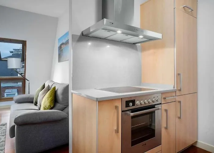 Atico Centro 3, Ac, Luz Y Comodidad * San Sebastian